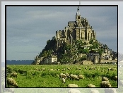 Francja, Mount Saint Michel, Łąka, Klasztor, Owce