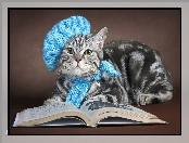 Książka, Beret, Szary, Dzianina, Handmade, Niebieski, Kot, Szalik