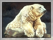 Malarstwo, Niedźwiedź, Polarny