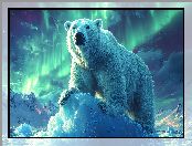 Grafika, Niedźwiedź, Zorza polarna, Polarny