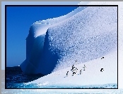 Ocean, Pingwiny, Góra Lodowa
