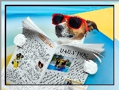 Okulary, Śmieszne, Jack Russell Terrier, Gazeta