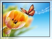 Motyl, Żółte, Tulipany