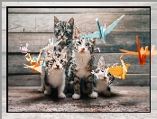 Origami, Papierowe, Kotki, Koty, Ptaszki