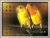 Papużki, Walentynki, Dwie, Miłość