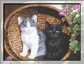 Kwiaty, Kosz, Pelargonie, Dwa, Koty