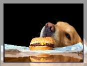 Pies, Hamburger