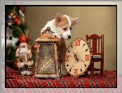 Lampion, Mikołaj, Zegar, Pies, Welsh corgi pembroke