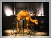 Bar, Pijany, Wielbłąd
