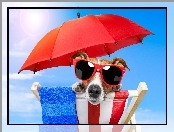 Leżak, Wakacje Jack russell terrier, Parasol, Okulary