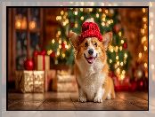 Choinka, Czerwona, Pies, Welsh corgi pembroke, Czapka, Prezenty