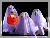 Trzy, Psy, Halloween, Duchy