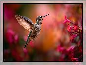 Koliber, Ptak, Grafika AI, Kwiaty