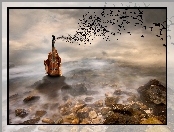 Ptaki, Kamienie, Gitara, Fantasy, Morze