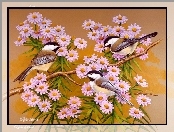 Kolorowe, Trzy, Ptaki, Liliowe, Kwiatki