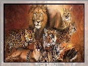 Puma, Lew, Koty, Duże, Lampart, Tygrys
