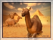 Pustynia, 3D, Wielbłądy, Piramidy