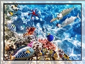 Ryby, Głębiny, Rafa koralowa