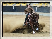 Koń, Rodeo, Kowboj
