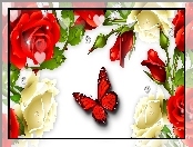 Róże, Art, Kwiaty, Motyl