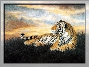 Tygrysa, Rysunek