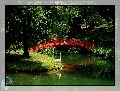 Rzeka, Łabędź, Park, Mostek