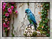 Kwitnące, Ptak, Niebieska, Ściana, AI, Papuga, Pnącza