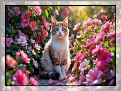 Spojrzenie, Kot, Kwiaty, Siedzący, Rudo-biały