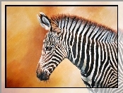 Zebra, Smutna