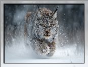 Ryś, Śnieg, Grafika AI, Zima