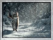 Kot, Śnieg, Zima, Grafika AI