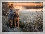 Trawy, Trzciny, Airedale terrier, Pies, Chłopiec