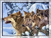 Zima, Trzy, Wilki