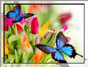 Motyle, Tulipany, 2D, Kwiaty, Kolorowe