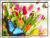 Kwiaty, Kolorowe, Motyle, Tulipany