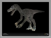Velociraptor, Dinozaur