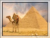 Siodło, Wielbłąd, Piramidy