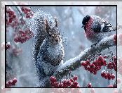 Grafika AI, Gałąź, Wiewiórka, Gil, Jarzębina, Zima