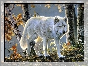 Las, Wilk