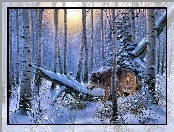 Zima, Wilk, Las