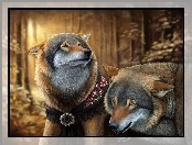 Wilki, Ozdoby