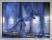 Dinozaura, Wystawa, Szkielet