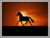 Zachód, Koń, Grafika, Słońca