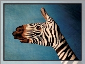 Bodypaint, Zebra