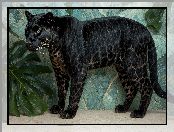 Czarny, Lampart, Liście, Zielone