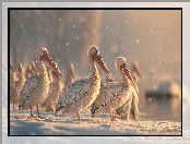 Pelikany, Zima, Grafika AI, Śnieg