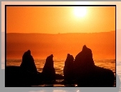 Zachód słońca, Mors