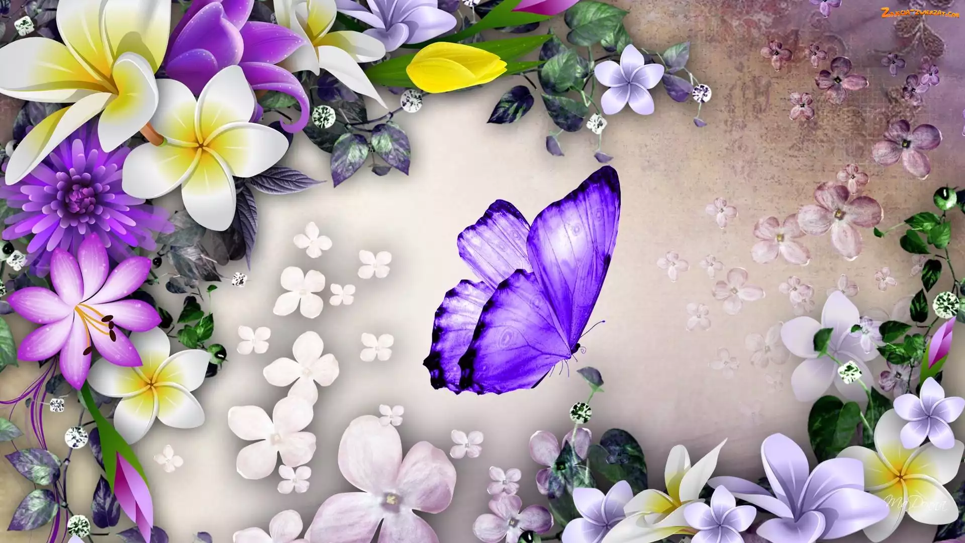 2D, Motyl, Grafika, Kwiaty
