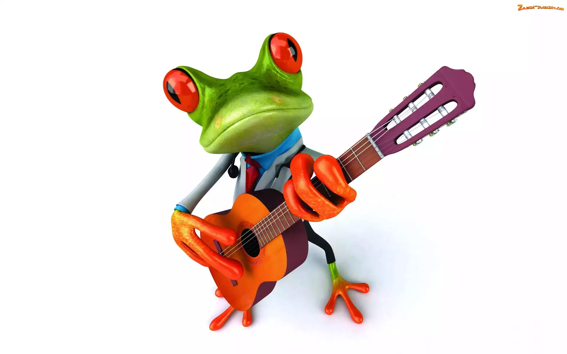 Gitara, Żaba, Śmieszna