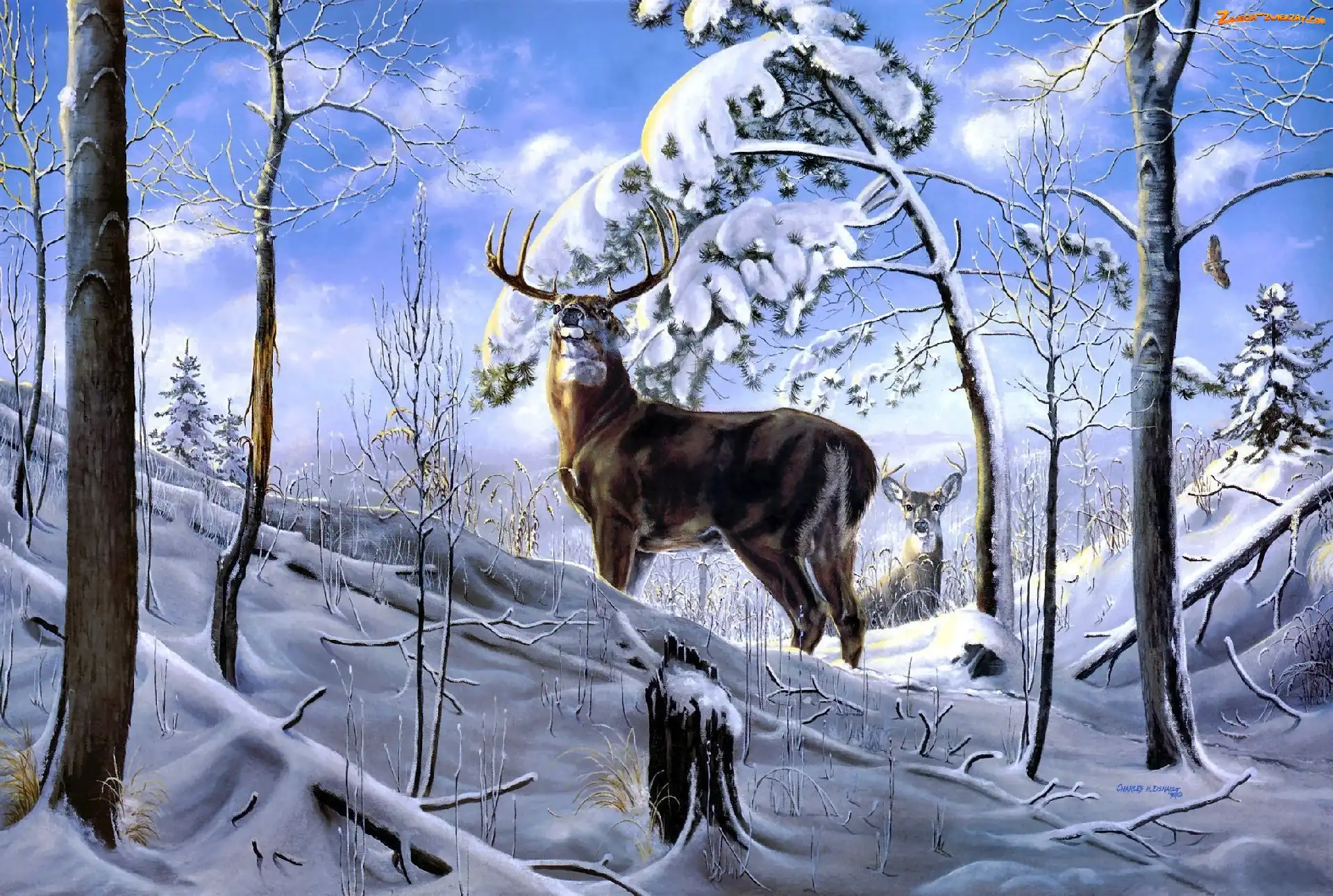 Art, Śnieg, Jelenie, Dwa, Las